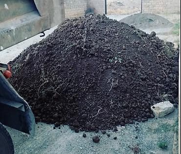şam ağacı növləri: Məhsul: Təbii qara torpaq – bağ və landşaft işləri üçün Təsvir: - — 1