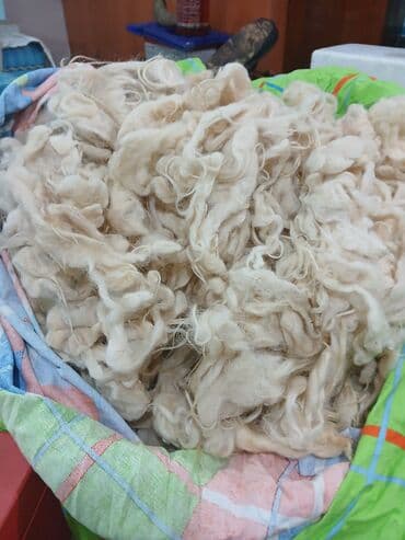 deve yunu yorgan: Məhsul: Təbii qoyun yunu (yıxılmış, liflər halında) Təsvir: - Açıq — 1