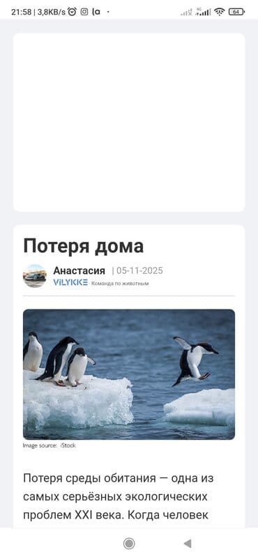 nerj cənlər: Bak, Metal — 4