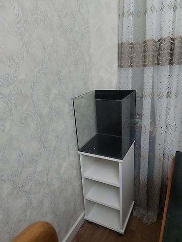 Akvariumlar: Şüşə akvarium və alt dolabı - Kvadrat formalı, şəffaf şüşədən — 2