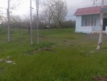 bilgeh bag evi: Biznes üçün, Mülkiyyətçi, Kupça (Çıxarış) — 5