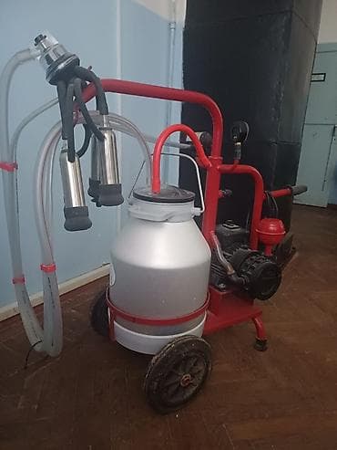 Tək bidon, Paslanmaz bidon