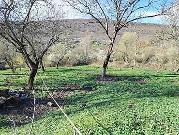 bakı kirayə evlər ucuz: 6 sot, Tikinti, Kupça (Çıxarış) — 2