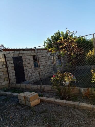 фотостудия советская квартира: Satılır: bağ sahəsi və yaşayış evi - Tikinti: qala-daşı divarlar — 4