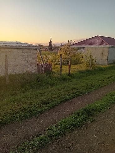 6 sot, Biznes üçün, Mülkiyyətçi, Kupça (Çıxarış)