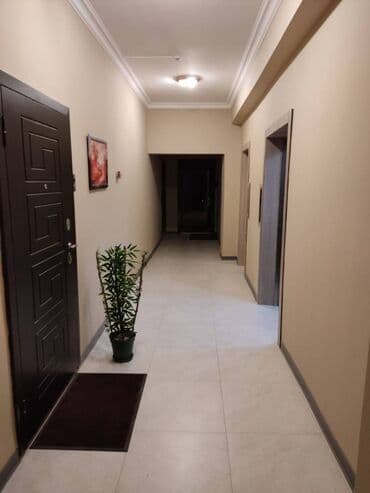 lokbatanda yeni tikilen binalar: Şərifzadə küçəsi, 2 otaq, 15/14 mərtəbə mansar deyil, mənzil kirayə — 10