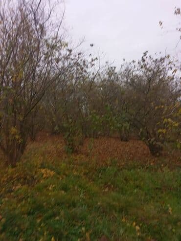 продажа и аренда домов: 4 комнаты, 110 м², Нет кредита, Без ремонта — 10