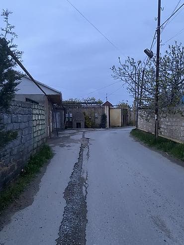 sekas agaci: Dekorativ bağ bitkiləri və landşaft tərtibatı üçün həllər - Qapalı — 3