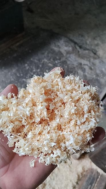 terrarium: Məhsul: Quşçuluq üçün təbii ağac yonqarı (altlıq materialı) Təsvir: - — 4