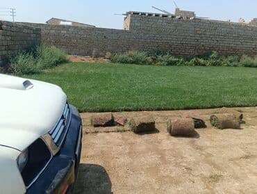 Digər tikinti xidmətləri: Ummi abadliq xidmeti torpaq lazmdisa torpaq getrib yaymaq duždeşdirib — 3