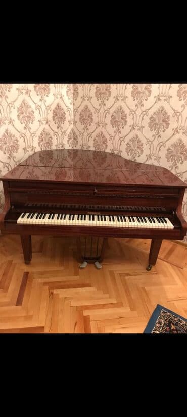 rönisch piano: Пианино, Rönisch, Акустический — 8