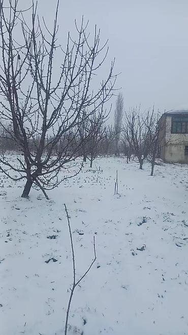 28 mayda satilan evler: 65 sot, Kənd təsərrüfatı — 7