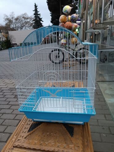 dovşan balası: Dovşan yemləri 2azn Dovşan balaları 5azn topdan Sadə yem Topdan 1-azn — 15