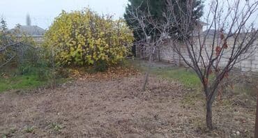 pirşağı torpağ: 10 sot, Biznes üçün, Mülkiyyətçi, Kupça (Çıxarış) — 6