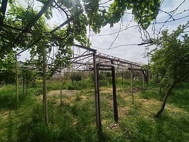 ucuz iran pecleri: Metal istixana karkası – satış - Konstruksiya: tam metal çərçivə — 1