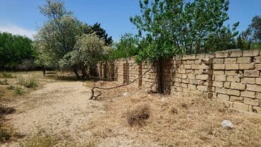 sulutəpə çiçək qəsəbəsi: 12 sot, Tikinti, Makler, Kupça (Çıxarış) — 5