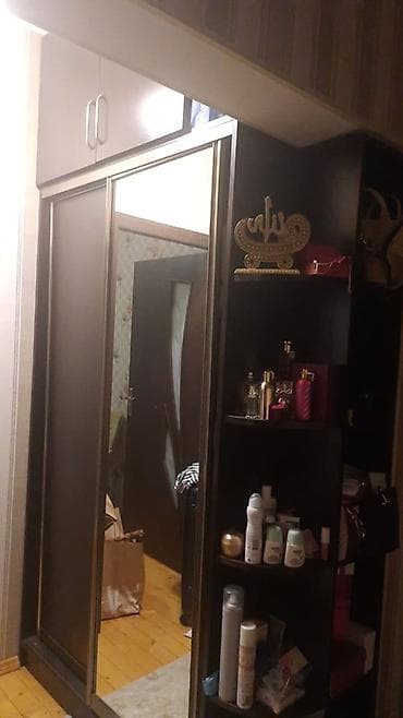 saloglu tek carpayi: 2 qapılı, Güzgülü, Qəhvəyi, Digər material, Kupe, Düz dolab — 3