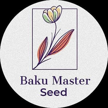 chia toxumu istifade qaydasi: Şüyüd Toxumu 🌱 Payızlıq şüyüd toxumu satışda Həm peşəkar həmdə — 4