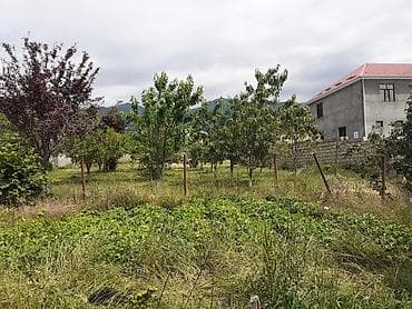 qubada torpaq satilir 2024: 6 sot, Tikinti, Maklerlər narahat etməsin, Kupça (Çıxarış) — 3