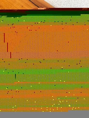 judo kemeri: Sərt korpuslu səyahət çamadanı – Cap Polo’s brendi - Rəng: qara - — 2