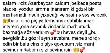 Фигура, цвет - Оранжевый — 2