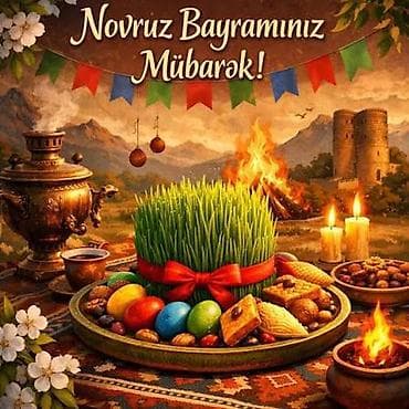 traxtir: Bobcat Qoşqu-Otval Buldozer, Gidravlikadir Amerika Bobcat — 5