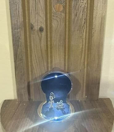 versace boyunbagi: Möhtəşəm işıqlı zərgərlik qutusunda zərif gümüş boyunbağı və sırğa — 4