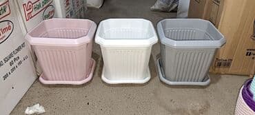 Digər bitkilər: Dibçək. Müxtəlif ölçü və modellər mövcuddur. Fərqli qiymətlərdədir — 7