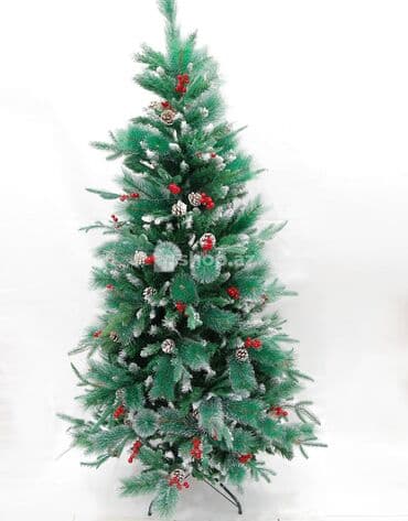 yolka agaci: Yolka — 1