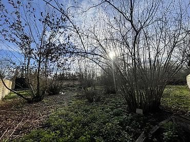 xızı torpaq: 14 sot, Tikinti, Mülkiyyətçi, Kupça (Çıxarış) — 8