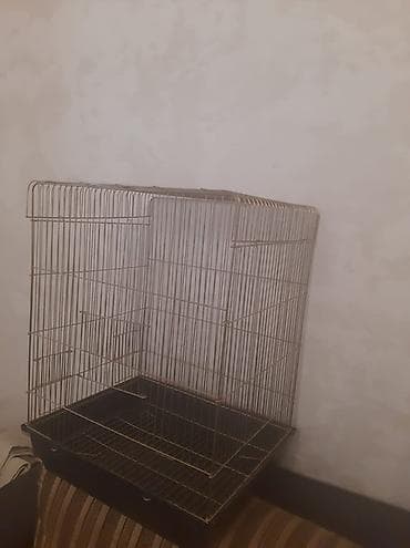 Qizili reng qefes yenidir Hundurluyu 56 Eni 42 Istiyen olsa Genclikden