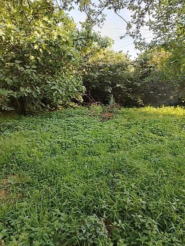 mingecevir ev elanlari: 3 sot, Tikinti, Mülkiyyətçi — 2