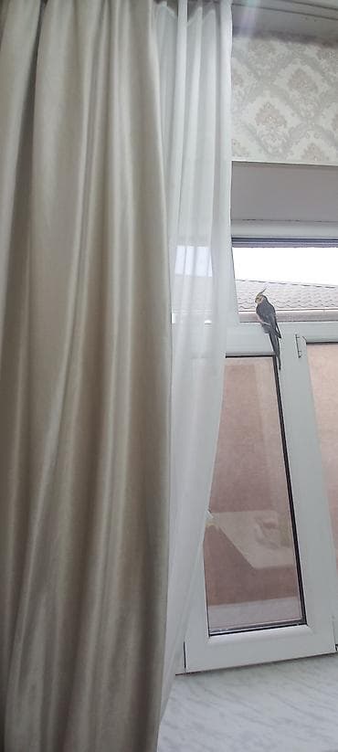 sekil cekmek: Yeni, Pərdə — 2