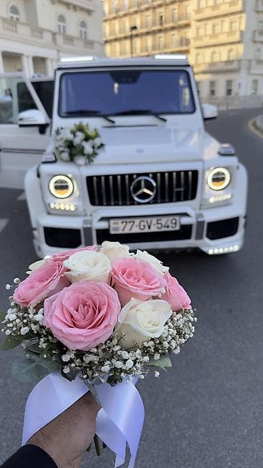 qaz plitələrinin təmiri: Günlük, Mercedes — 9