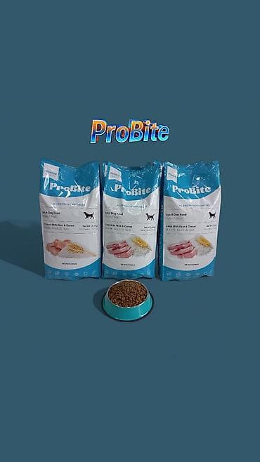 böyümüyen it: ProBite Adult Dog Food – bütün it cinsləri üçün tam və — 1