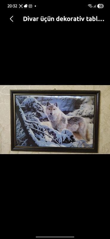 qara şekiller: Məhsul: Divar üçün dekorativ tablolar (2 model) 1) Tovuz quşu tablosu — 2