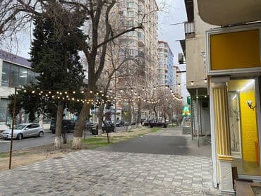 tendirxana icareye verilir 2025: Nərimanov metrosunun yaxınlığındasahəsi 20 kv/m olan, obyekt (ət — 16