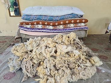 alisa home tekstil: Təbii qoyun yunu yuyulmuş didilmiş temiz. 1kl - 5Azn — 4