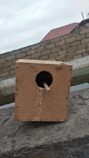 dele heyvan: Taxta quş yuvası/kutubçası - Material: Sərt kontrplak/taxta - Forma — 3