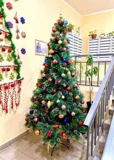 yolka isiqlari satisi: Yolka — 1