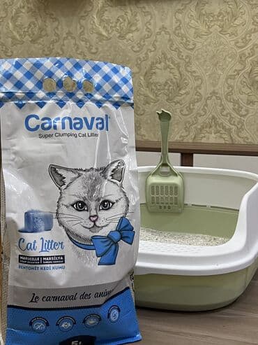 Akvarium aksessuar və ləvazimatları: Yaxşı əllərə — 7