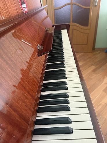 Elektrik nəqliyyatı: Piano, Petrof, Akustik, İşlənmiş, Ünvandan götürmə — 1