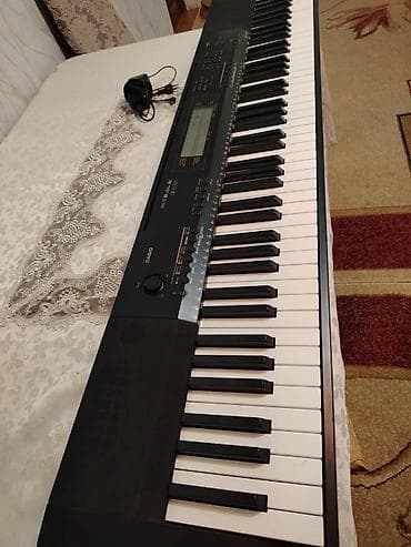 akustik gitara simi: Sintezator, Casio — 1