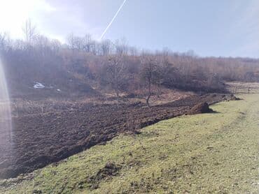 kirayə evlər gəncə 2023: 64 sot, Tikinti, Mülkiyyətçi, Bələdiyyə — 6