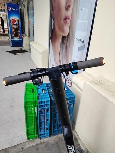 elektrik skutur: 4 ayın skuter idi. Riley elektrik skuter - Şəhər içi gündəlik — 5