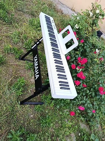 mp3 yüklə: Piano, Rəqəmsal, Yeni, Pulsuz çatdırılma — 6