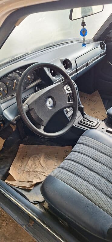 yeşqa mersedes: Mercedes-Benz 250: 2.5 l | 1981 il Sedan — 12