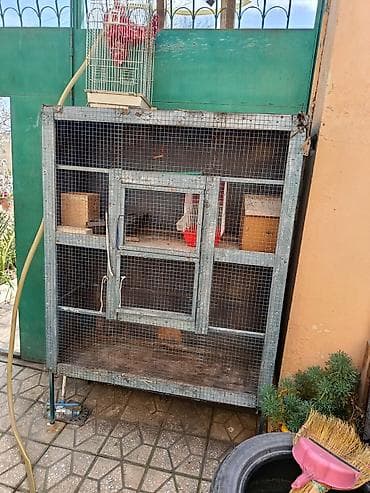 bildirçin: Quşlar üçün iri volyer/ qəfəs - Material: metal karkas və möhkəm — 2