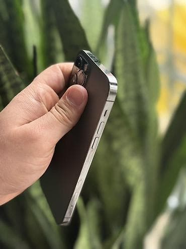 minik telefonlar: IPhone 12 Pro, Graphite — 3