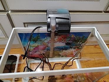 baliq levazimatlari satisi: Akvaryum dəsti – tam komplekt - Şüşə akvaryum, ağ metal/PL çərçivə — 3